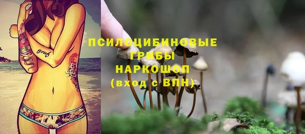 мяу мяу кристалл Няндома