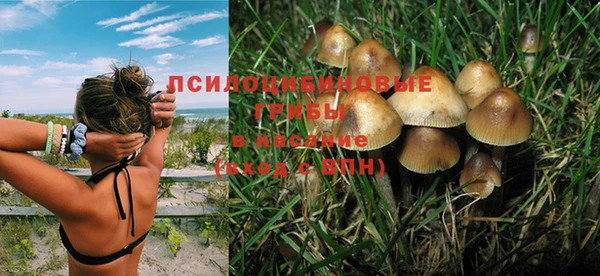 кокс Нягань