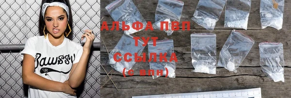 индика Переславль-Залесский