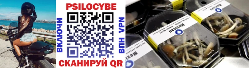 Купить закладки  Лабинск  Галлюциногенные грибы GOLDEN TEACHER 