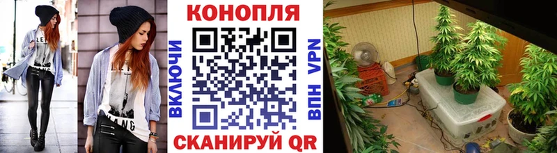 МАРИХУАНА VHQ  Купить закладки  Лабинск 